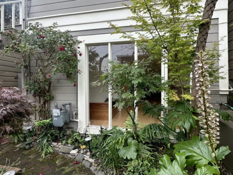 Heart of Noe Valley...Hardwood floors Garden apartment.